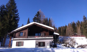 Гостиница Fichtenblockhütte  Зонненальпе Нассфельд